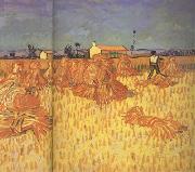Vincent Van Gogh Harvest in Provence (nn04) oil painting on canvas